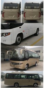 Jinlong  XMQ6750AYD5D1 coach