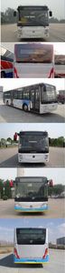 Foton  BJ6123EVCA13 Pure electric city buses