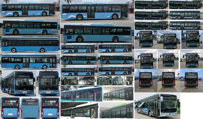 Jinlong  XMQ6127AGBEVL9 Pure electric city buses