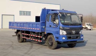 Foton  BJ3163DJPEDFB Dump truck