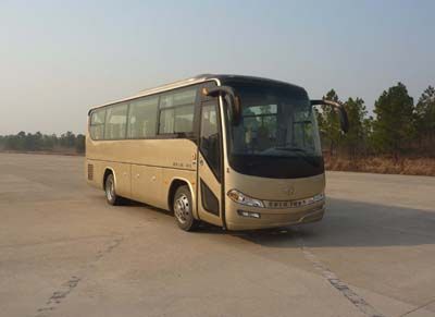 Heke  HK6879H1 coach