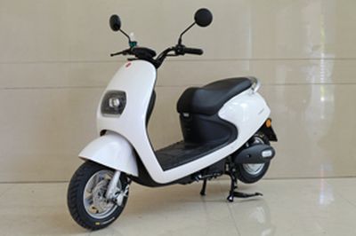 Permanent YJ800DQTElectric two wheeled light motorcycle