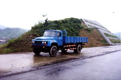 Shitong  STQ1100DCW Long head cargo truck