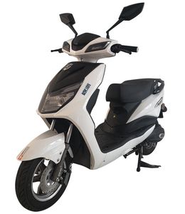 Europa  OP500DQT Electric two wheeled light motorcycle