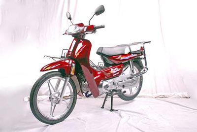 Red Rabbit Horse CTM110A Two wheeled motorcycles