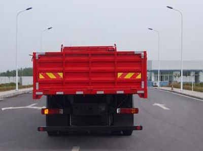 Hongyan  CQ1314HTG466V Truck