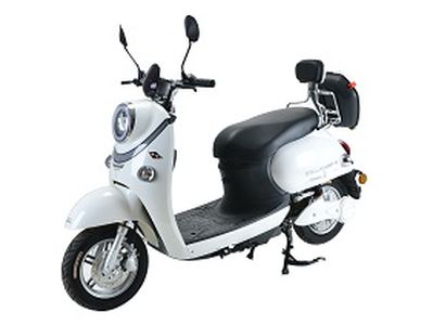 Liangsu  LS1200DT5A Electric two wheeled motorcycle