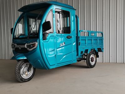 Jinxun  JX1200DZHB5 Electric tricycle