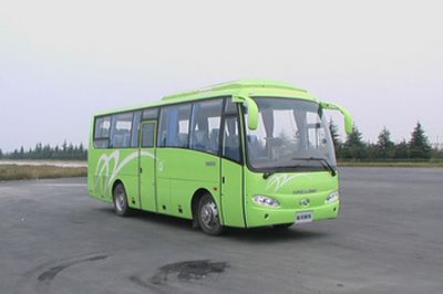 Jinlong  XMQ6886Y coach