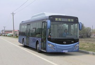 Huanghai  DD6126B12 City buses