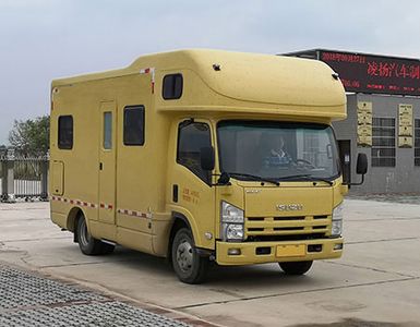 Lingyang  LYP5040XLJ RV