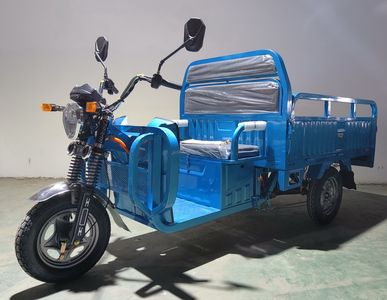 Xunjie  XJ1000DZH4 Electric tricycle