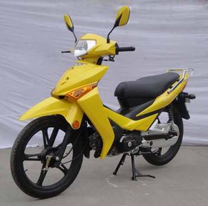 Sanling  SL11011 Two wheeled motorcycles