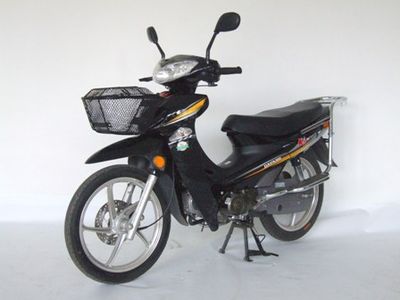 Dayang  DY48Q2A moped with two wheels 