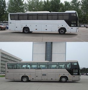 Yutong  ZK6118HQY8Z coach