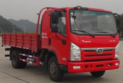 Shitong  STQ1041L02Y1N5 Truck