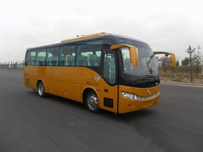 Huanghai  DD6907C09 coach