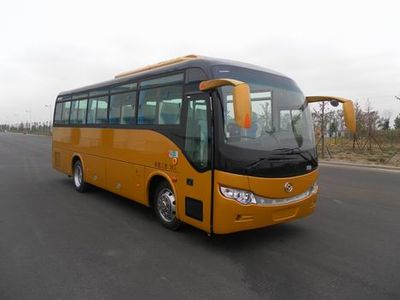 Huanghai  DD6907C09 coach