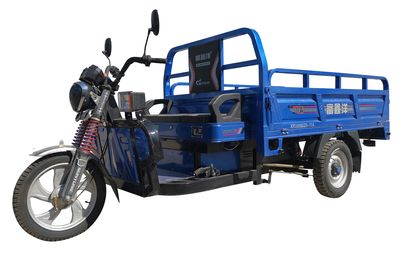 Fuxin Yang  XY3000DZH11A Electric tricycle