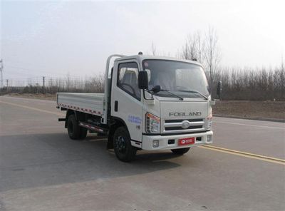 Foton  BJ1043V9JEAH Truck