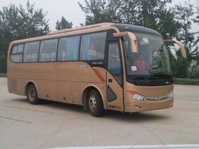 Jinlong  XMQ6902AYN4C coach