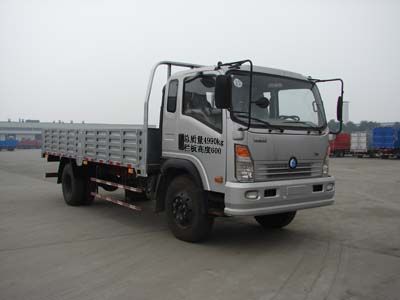 Ace car CDW1050HA1Q4 Truck