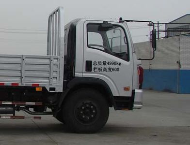 Ace car CDW1050HA1Q4 Truck