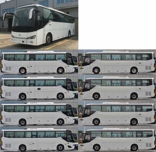 Jinlong  XMQ6112AYD5T1 coach