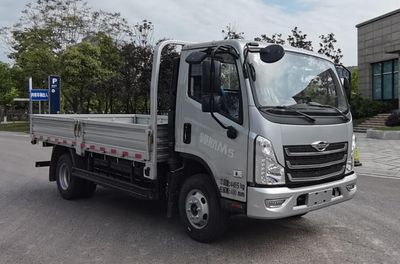 Foton  BJ1046V8JCA04 Truck