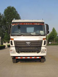 Dongyue  ZTQ5310GJBB1S30DL Concrete mixing transport vehicle