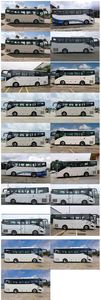 Jinlong  XMQ6825CYD6T coach