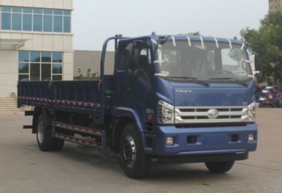 Foton  BJ1163VKPEGFC Truck