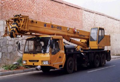 Puyuan  ZLJ5290JQZ25H Car crane