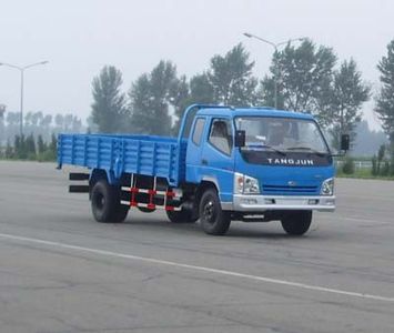 Qingqi  ZB1050TPI Truck