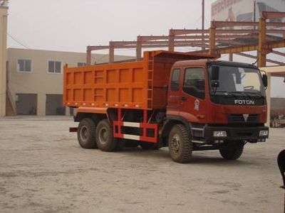 Tielong  THD3250 Dump truck