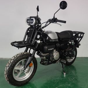 Tianying  TY1507E Two wheeled motorcycles