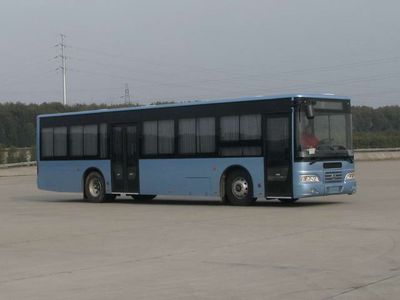 Yangtze River brand automobiles WG6122NQM City buses