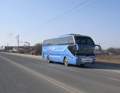 CSR Times TEG6129H10 coach