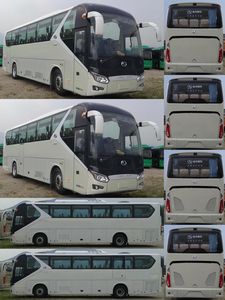 Jinlong  XMQ6115AYN5C coach