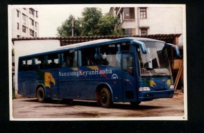 Giant Eagle  SJ6120CM coach