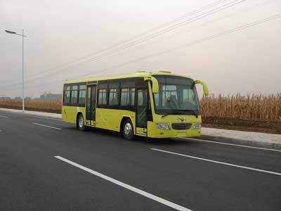 Shenfei SFQ6100SQG1City buses