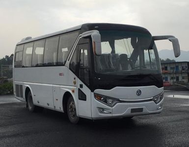 Wanda  WD6810HDB1 coach