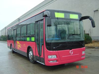 Yangzi  YZK6120NJYC1 City buses