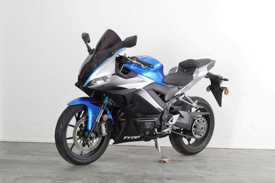 Feiying  FY300G Two wheeled motorcycles