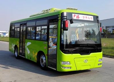 Shaolin SLG6821EVG2Pure electric city buses