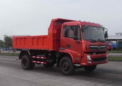 Nanjun CNJ3120ZRPA42BDump truck