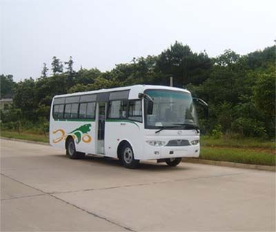 Hengshan  HSZ6905JL Coach car