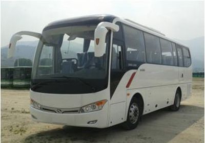 Jinlong  XMQ6898AYN5D coach