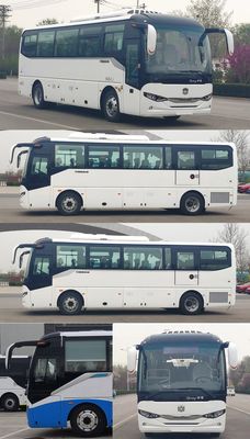 Zhongtong Automobile LCK6906EVQA1 Pure electric passenger cars