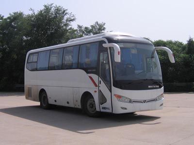 Jinlong  XMQ6879AYN4D coach